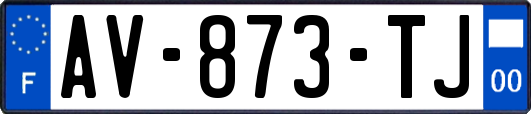 AV-873-TJ