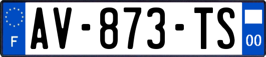 AV-873-TS