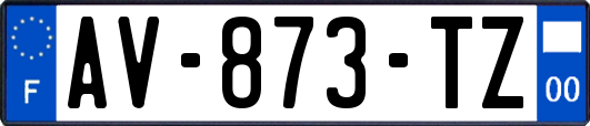 AV-873-TZ