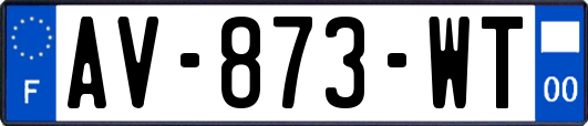 AV-873-WT