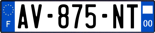 AV-875-NT