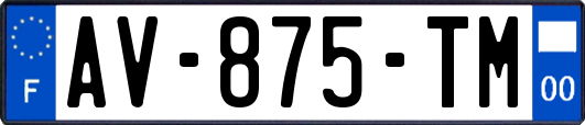 AV-875-TM