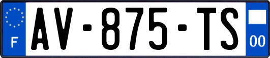 AV-875-TS