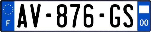 AV-876-GS