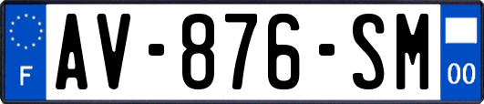 AV-876-SM