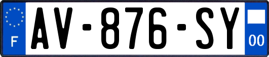 AV-876-SY