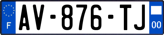 AV-876-TJ