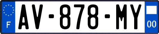 AV-878-MY