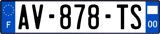AV-878-TS