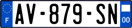 AV-879-SN