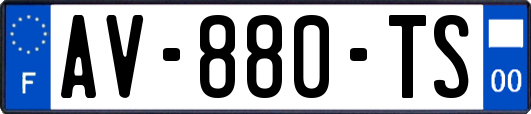 AV-880-TS