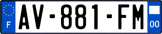 AV-881-FM