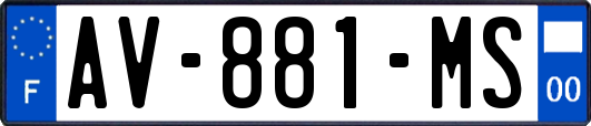 AV-881-MS