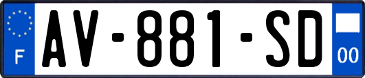 AV-881-SD