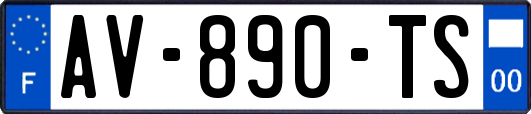 AV-890-TS