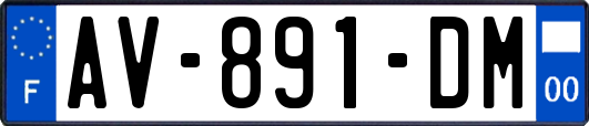 AV-891-DM