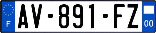 AV-891-FZ