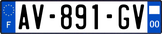 AV-891-GV