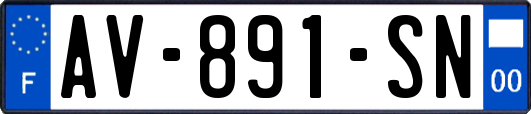 AV-891-SN