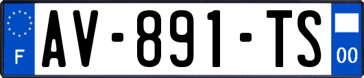 AV-891-TS