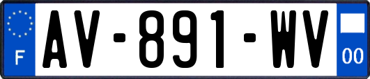 AV-891-WV