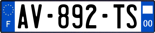AV-892-TS