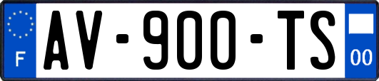 AV-900-TS