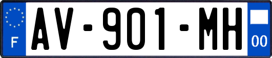 AV-901-MH