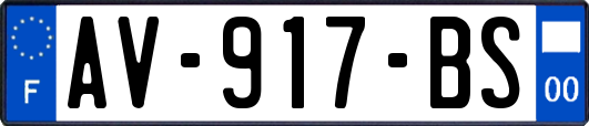 AV-917-BS