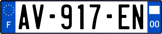 AV-917-EN