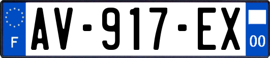 AV-917-EX
