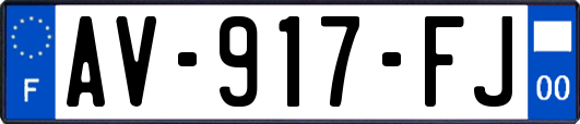 AV-917-FJ