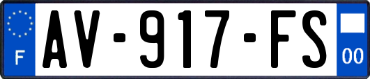AV-917-FS
