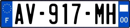 AV-917-MH