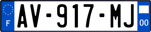 AV-917-MJ