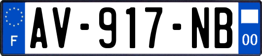AV-917-NB