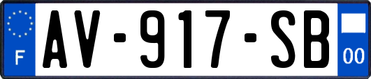 AV-917-SB