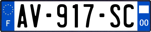 AV-917-SC