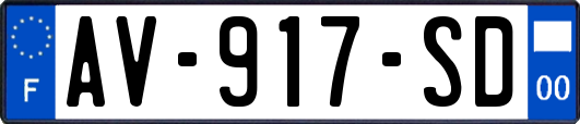 AV-917-SD