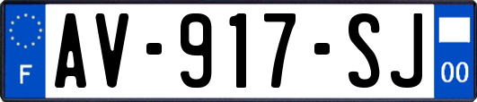 AV-917-SJ