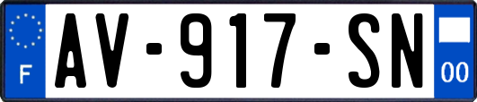 AV-917-SN