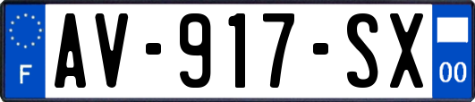 AV-917-SX