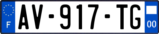 AV-917-TG