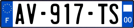 AV-917-TS