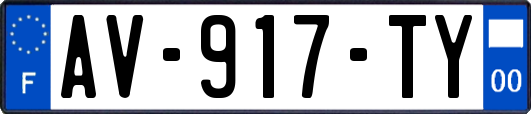AV-917-TY