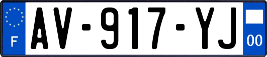 AV-917-YJ