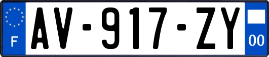AV-917-ZY