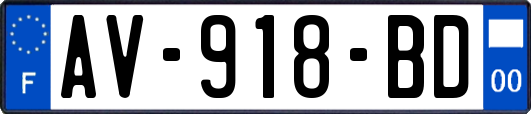 AV-918-BD