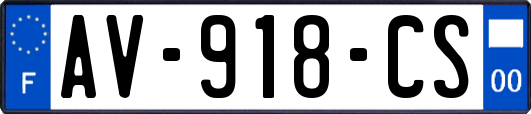 AV-918-CS