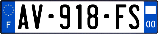 AV-918-FS